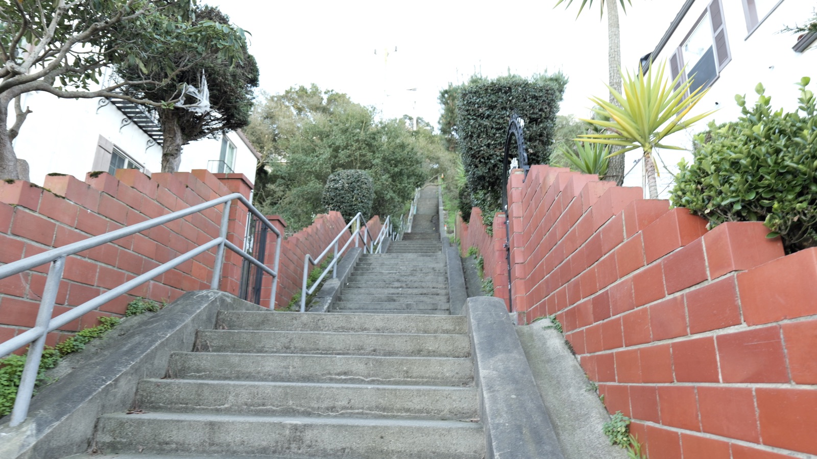 The plain concrete 15th Avenue Steps lined with brick planters and native oaks