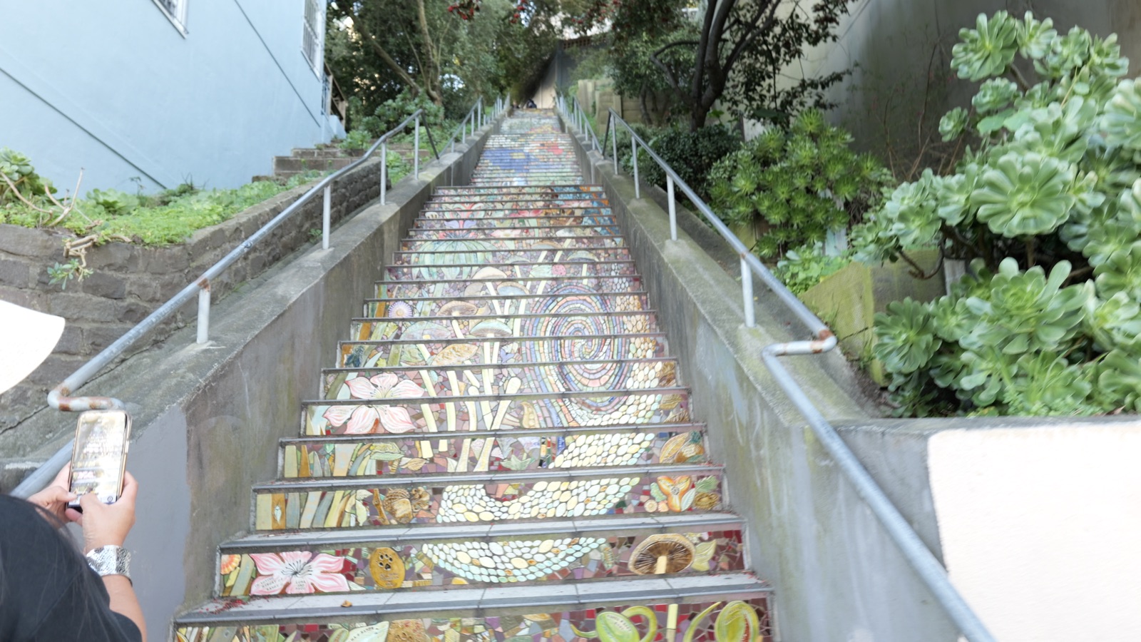 The mosaic-tiled Hidden Garden Steps on 16th Avenue at Kirkham