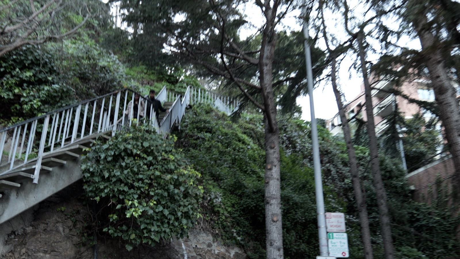 One of the Telegraph Hill stairways climbing through trees and gardens toward Coit Tower