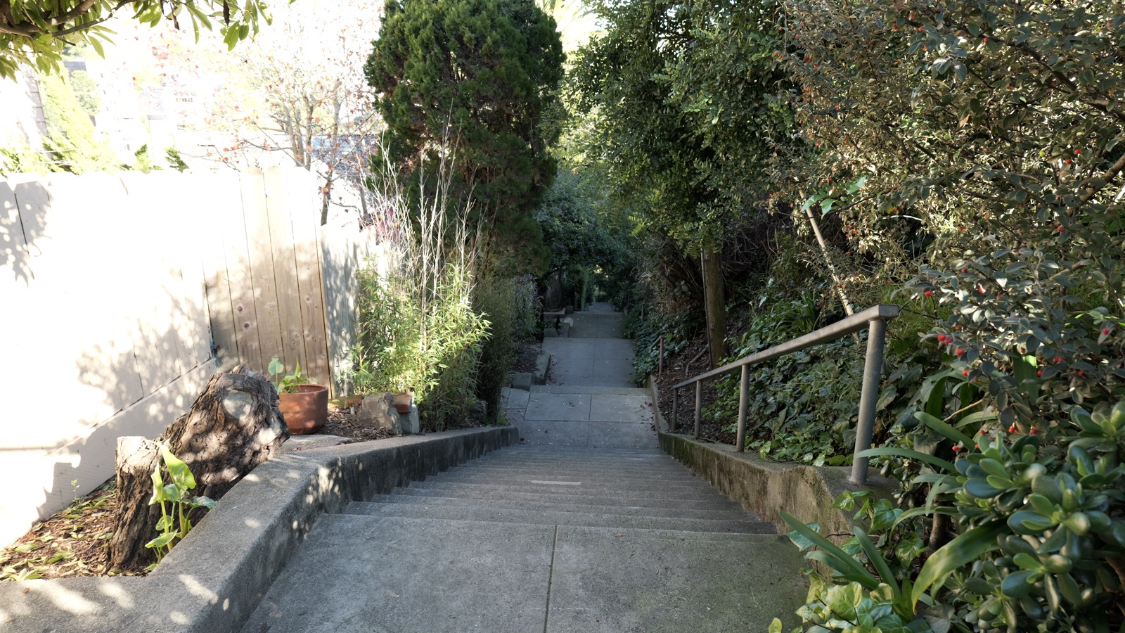 The tree-shaded Vulcan Stairway climbing between gardens in Corona Heights